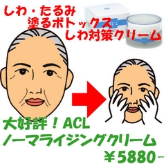 ACL Ρޥ饤󥰥꡼